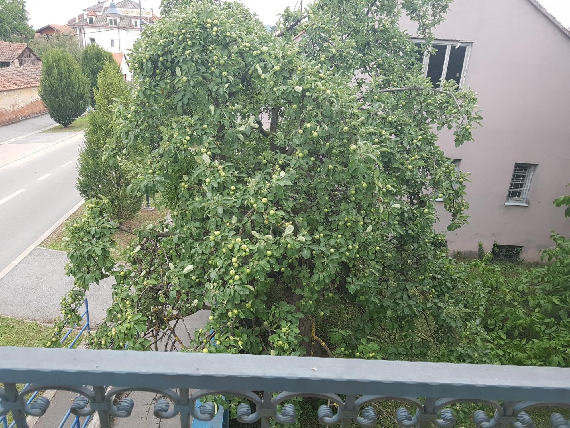 Prenociste Klas Pleternica Pokoj fotografie